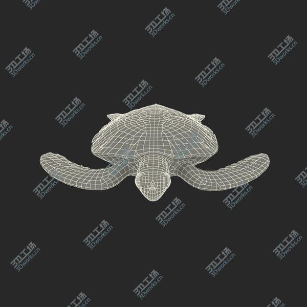 images/goods_img/20210312/Sea Turtle Rigged for Maya/4.jpg